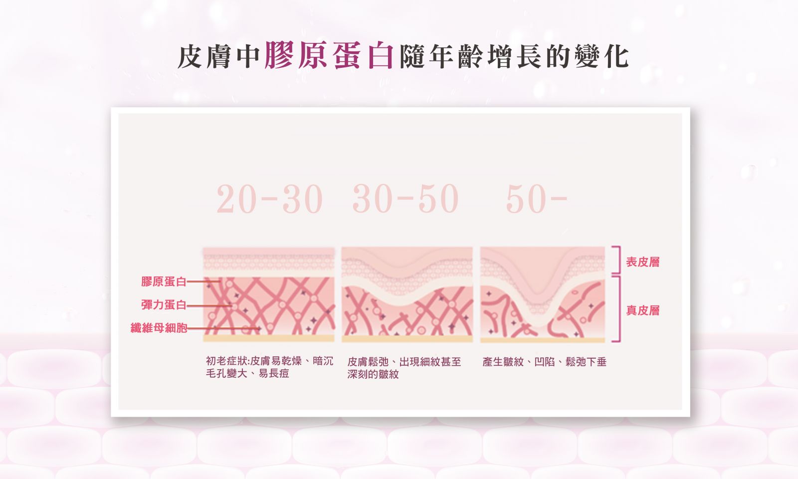 皮膚中膠原蛋白隨年齡增長的變化