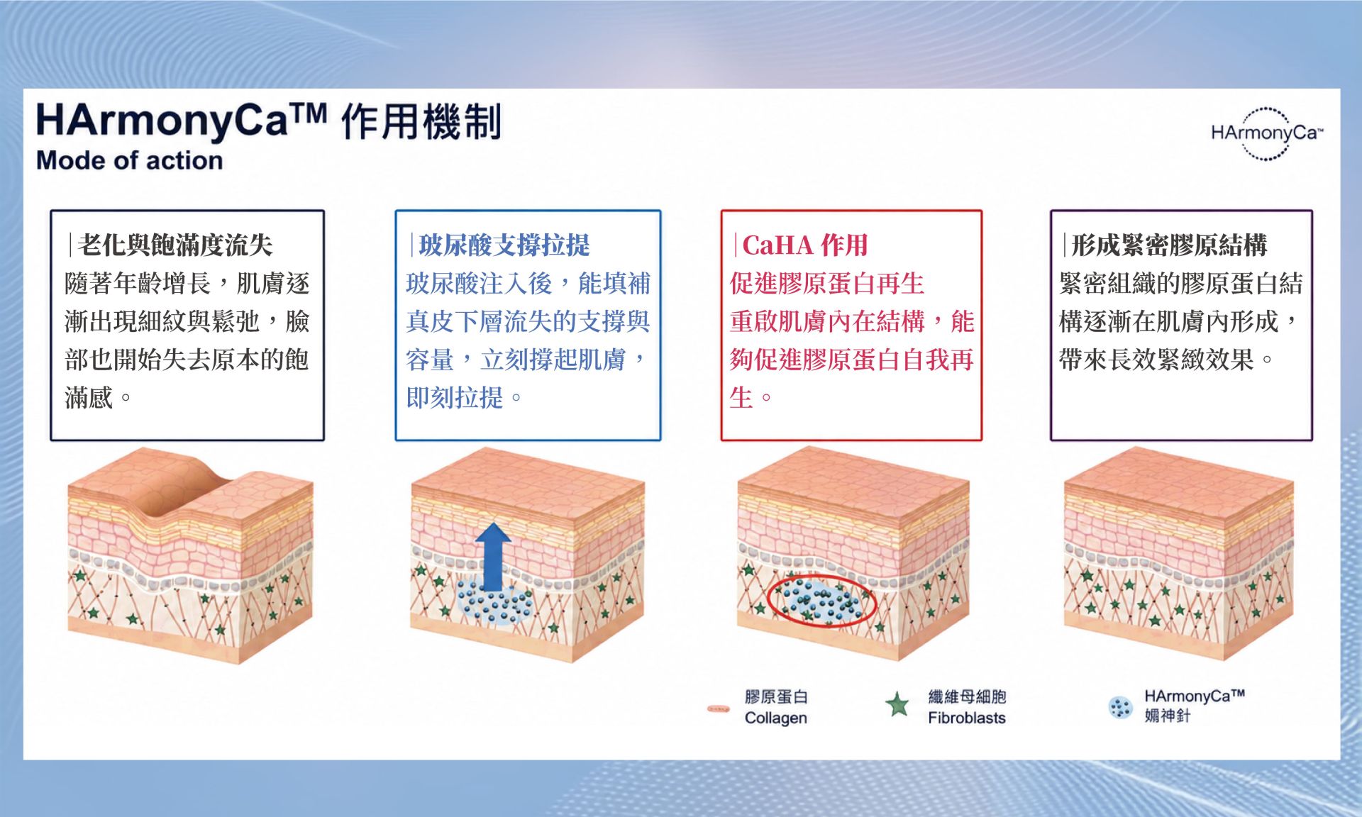 媄神針膠原再生過程